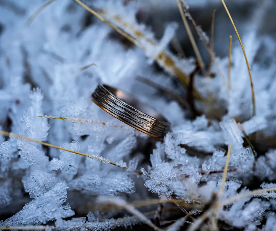 Or gris et or or rouge